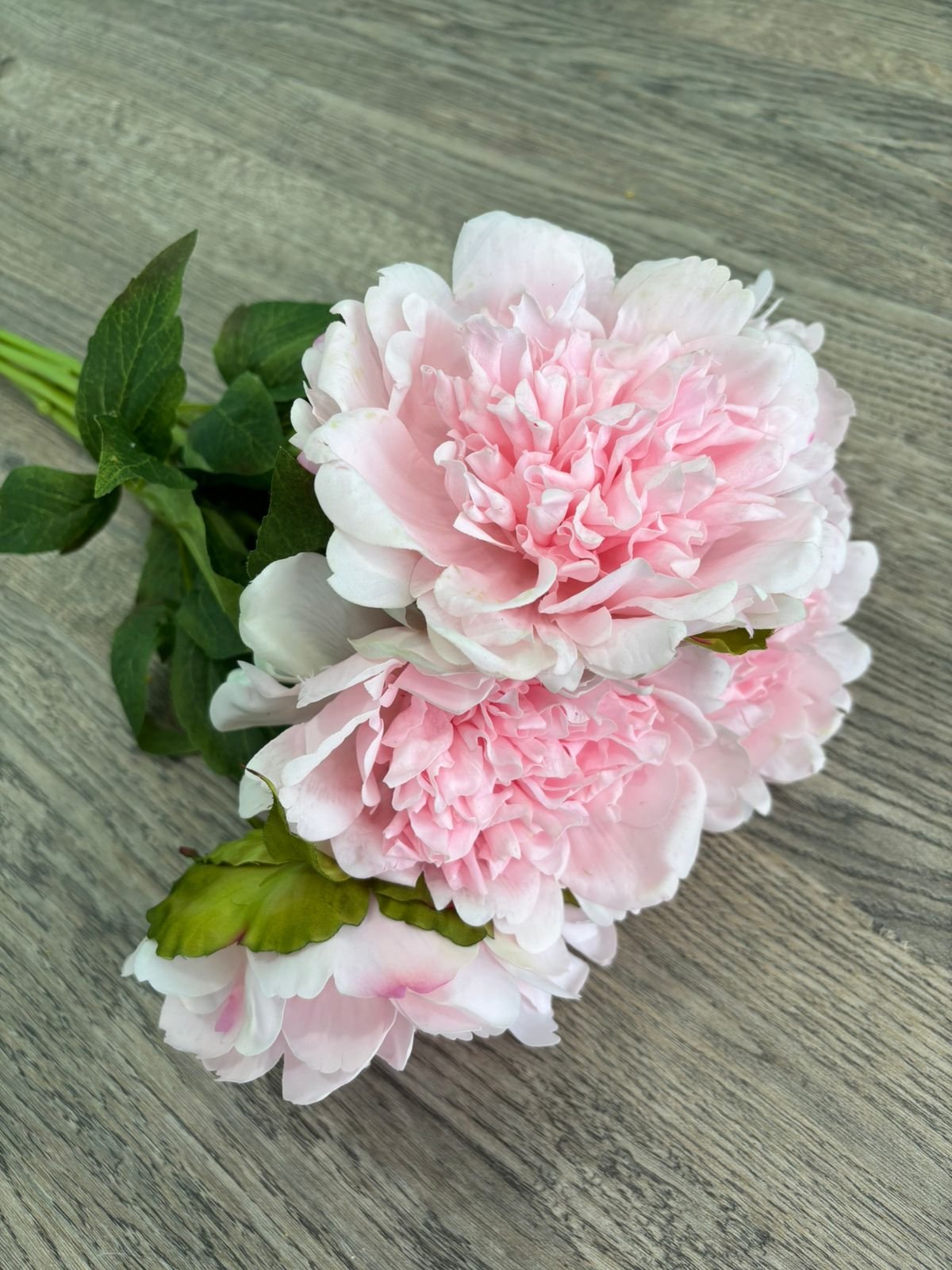 Signature Baby Pink Peony